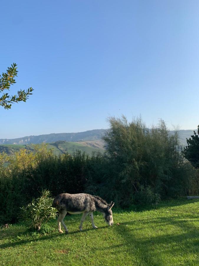 Relais B&B Betty Bike Sasso Feltrio Экстерьер фото