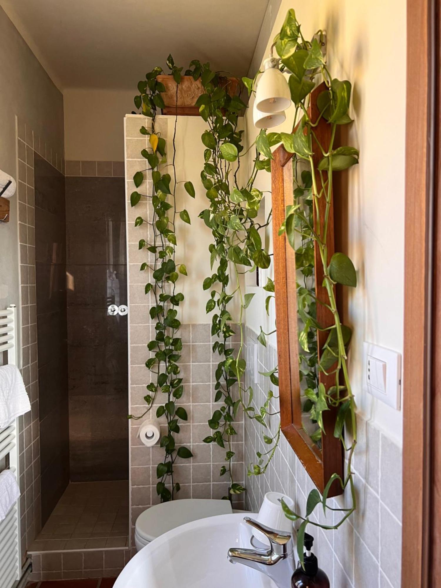 Relais B&B Betty Bike Sasso Feltrio Экстерьер фото